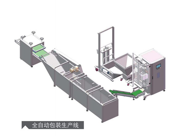 <b>全自(zi)動包裝生産線</b>